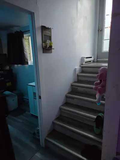 2½ à louer – 796$ / mois – Cession de bail Chauffé et éclairé. Chat accepté seulement.. Situé près d...