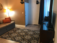 Furnished 1 Bedroom Apartment  - ideal for a STUDENT!