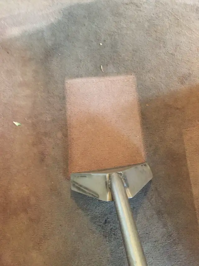 Carpet and Upholstery Cleaning in Condos for Sale in Saskatoon - Image 7