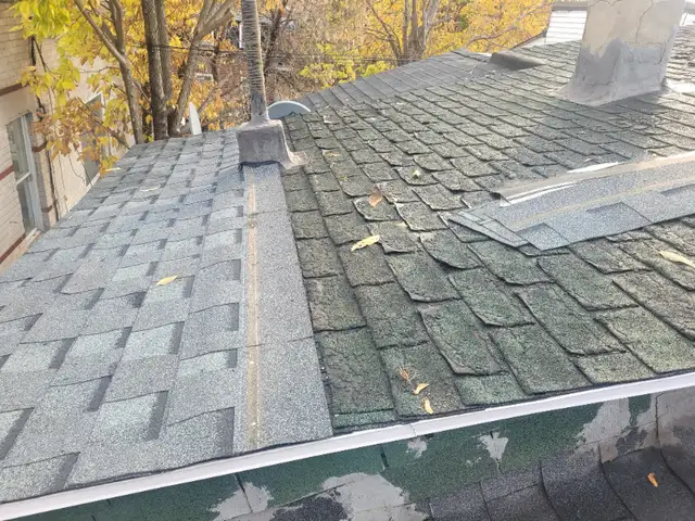 ROOF MAINTENANCE REPAIR INSPECTION BEFORE WINTER CALL ME62863717063810125