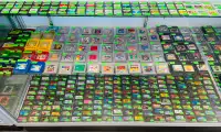 NINTENDO HANDHELD GAMES AND SYSTEMS FOR SALE