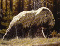 "HIGH COUNTRY GRIZZLY" - Randy Fehr limited edition bear print
