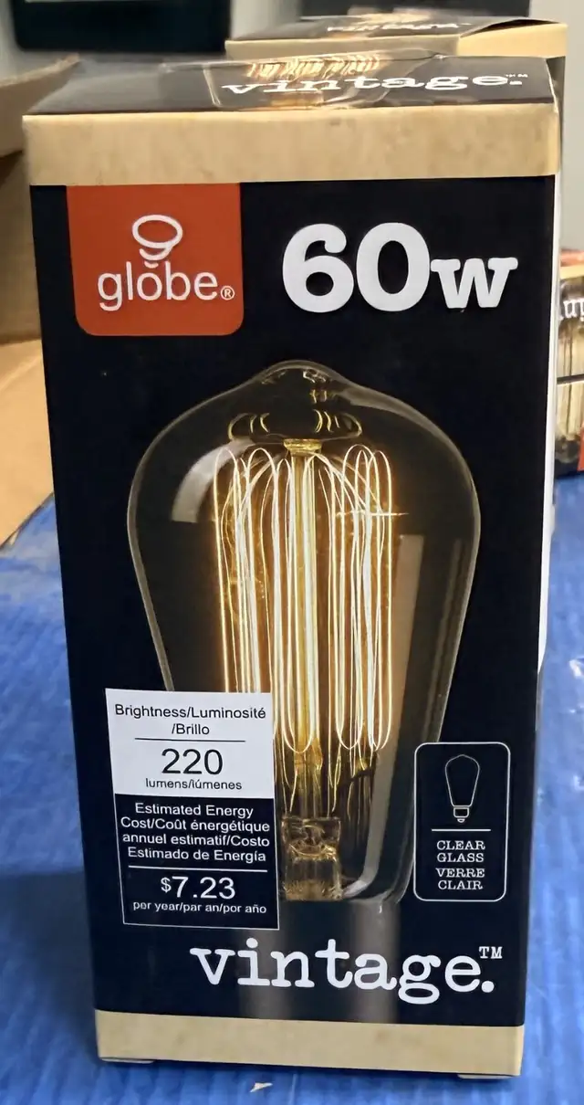 Lyle 60 Watt  (Standard) Dimmable Incandescent Bulb (Set of 3) in Indoor Lighting & Fans in Ottawa - Image 2