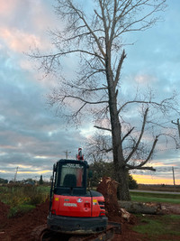 Tree/chainsaw/stump work for hire