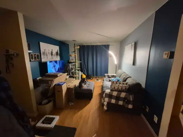 4 Et demi belle grandeur et bien situé  in Long Term Rentals in Lévis - Image 3