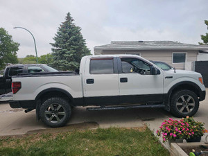 2010 Ford F 150