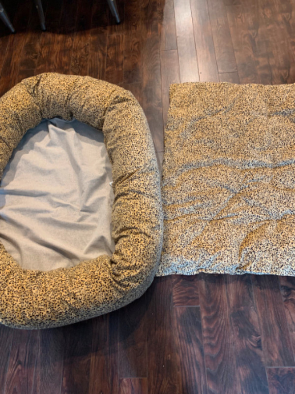 Designer Dog Bed in Accessories in Hamilton - Image 3