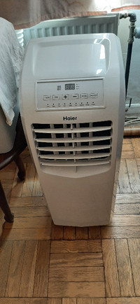 Haier  portal air conditioner (HPP10XCT-GW1)