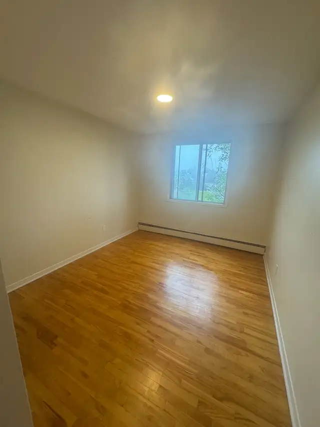 1 bedroom available in a 2 bedroom apartment 63849107292161121