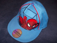 Spiderman Snapback Cap and Yahtzee