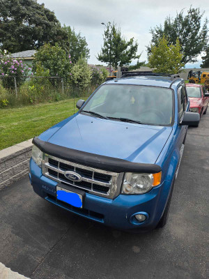 2010 Ford Escape