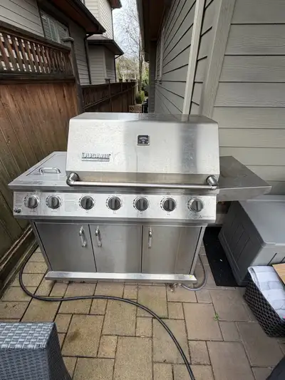 Ducane Stainless Steel Gas Grill, View more