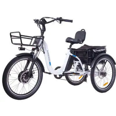 Full Suspension 750W Electric Trike Reverse Gear, View more