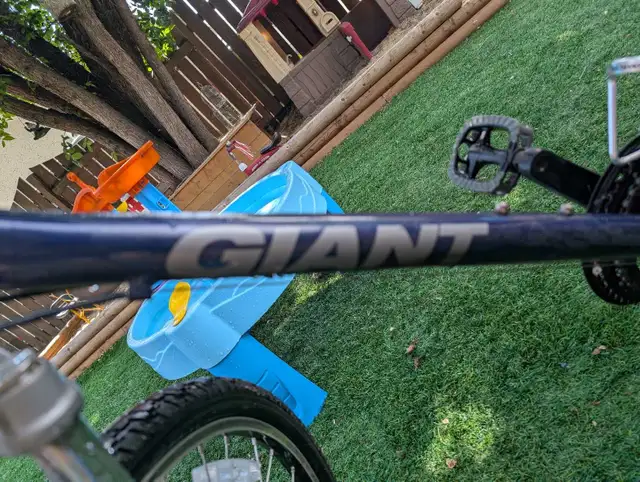 Giant Sedona in Mountain in Strathcona County - Image 3