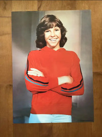 Kristy McNichol Original 1978 Pro Arts Poster 20 x 28 MINT