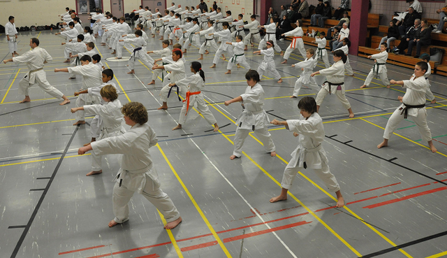 Traditional Karate - Starting Fall 2026461889954320240642