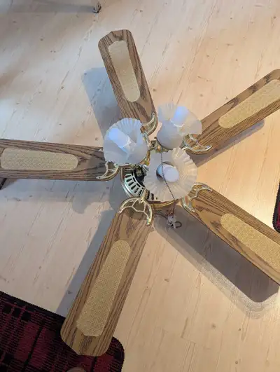 42 inch ceiling fan, View more