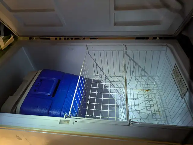 Freezer will trade for a small freezer438520042614968324