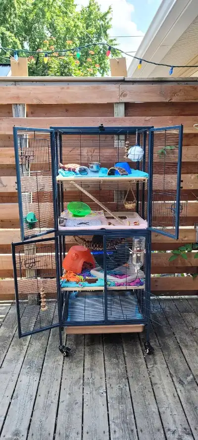 Small Animal Cage & Supplies, View more