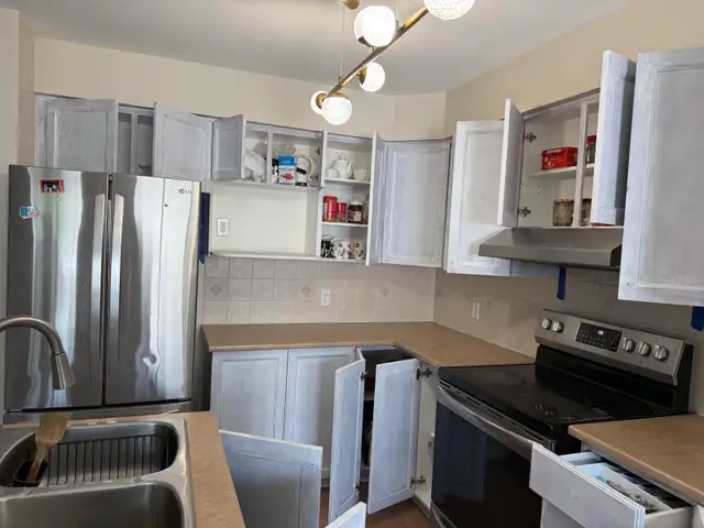 Michel St-Amour Professional Painting Services