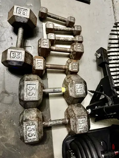 Dumbbells $1 pound (5lbs, 35lbs, 55lbs), View more