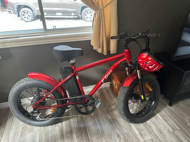 Daymark Coyote E-Bike in Other in Sault Ste. Marie