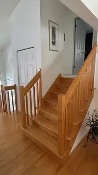 Rampes d’escalier d’intérieur 