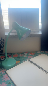 Rotating study/ table lamp 