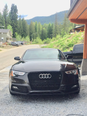 2014 Audi S5 Progressiv