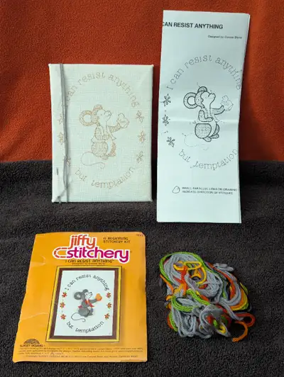 Beginner stitchery kit, with yarn and instructions, View more
