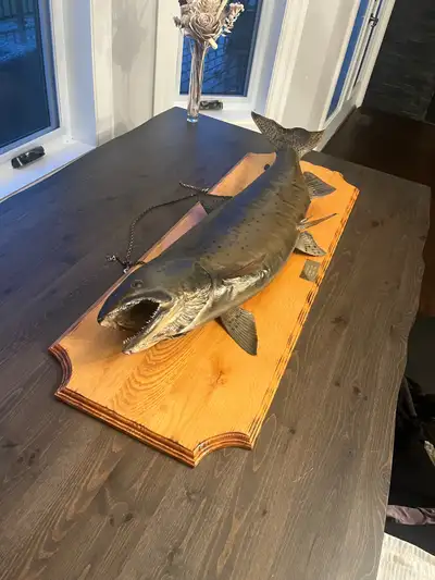 Beautiful fish 18 pounds !! Picture doesn’t do justice to actual size