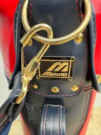 Mizuno golf bag with Northwestern clubs
