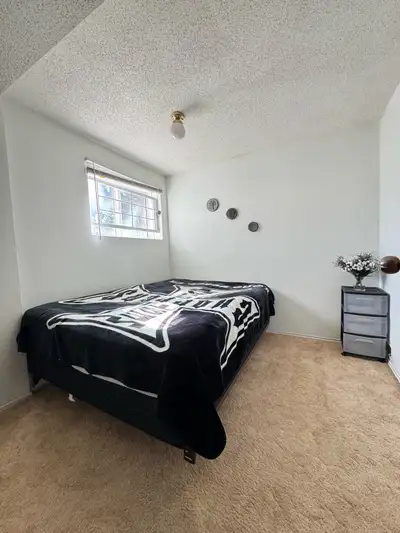Hi I have two room basement Looking for working women or girls who can keep clean and tidy place No...