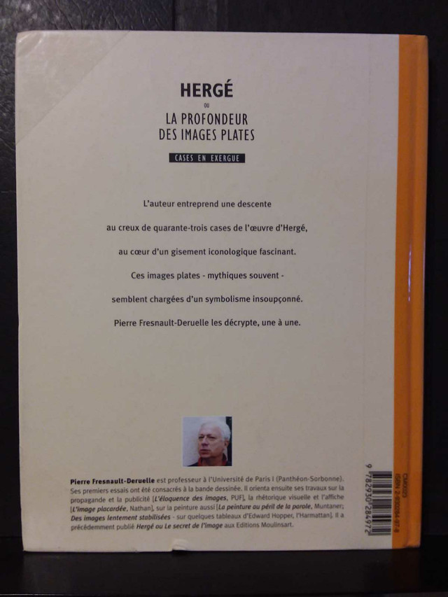 HERGE (TINTIN) LA PROFONDEUR DES IMAGES PLATES dans Autre  à Lanaudière - Image 3
