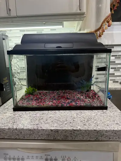 5 Gallon Aquarium , View more