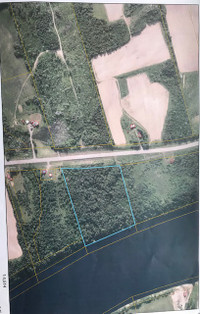13.1 ACRES OF WATERFRONT LOT ON SAINT JOHN RIVER -JUST REDUCED