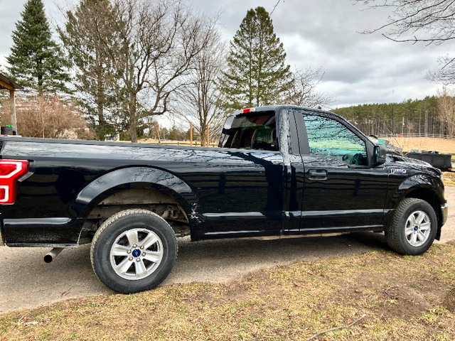 2019 Ford F-150 Regular cab 8 ft bed. in Cars & Trucks in Mississauga / Peel Region - Image 2