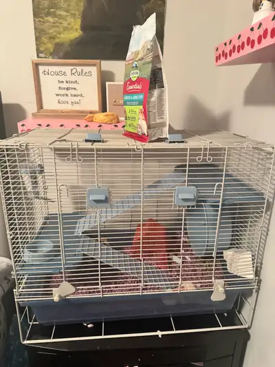 Hamster and full set up. Comes with everything pictured plus a full unopened bag of bedding and anot...
