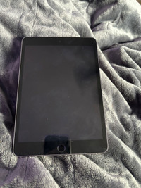 ipad mini 3