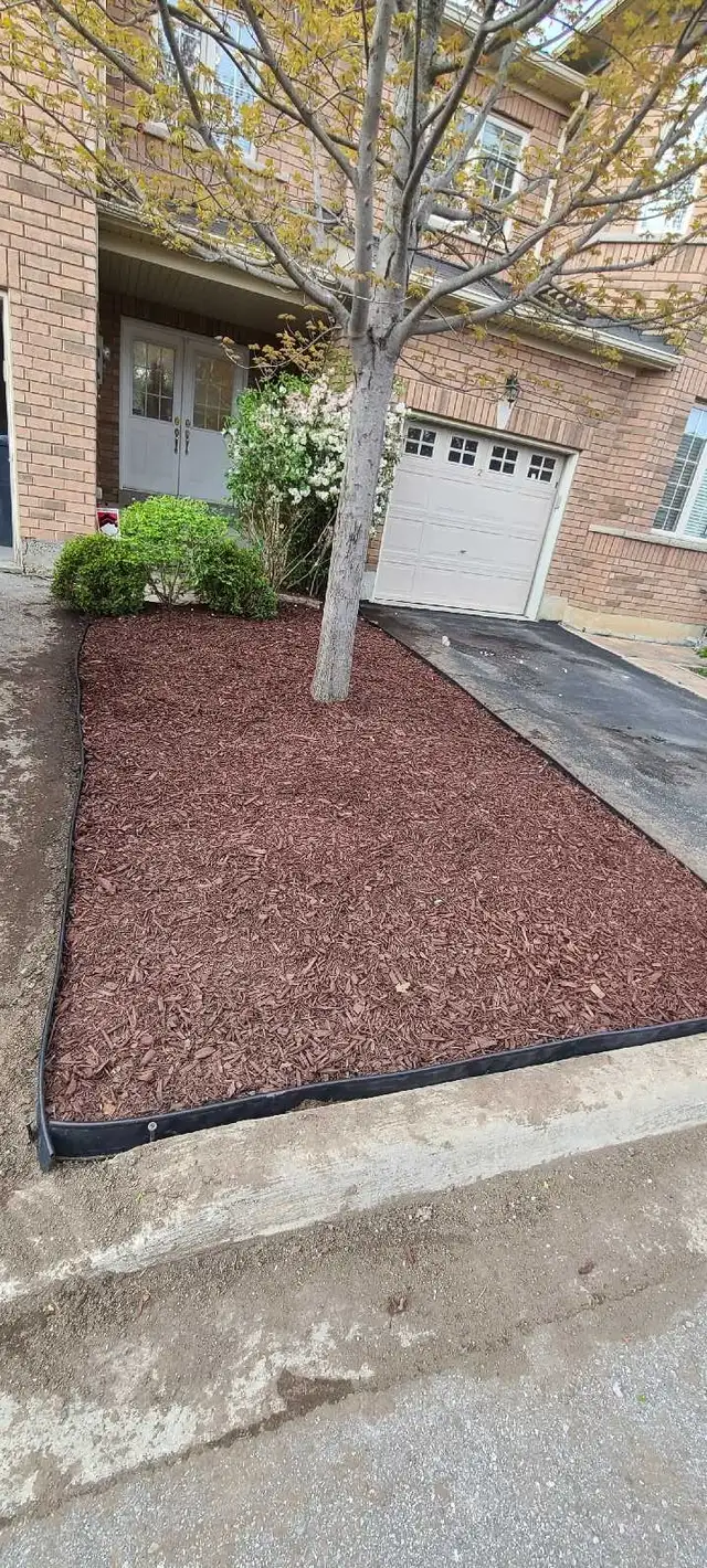 Grass cutting service in Peel and Halton region in Lawn, Tree Maintenance & Eavestrough in Mississauga / Peel Region - Image 10