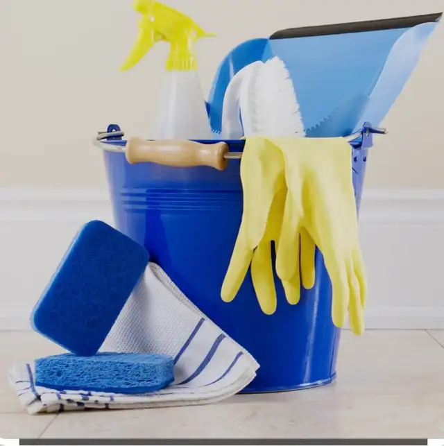 cleaner in saint john ,nb