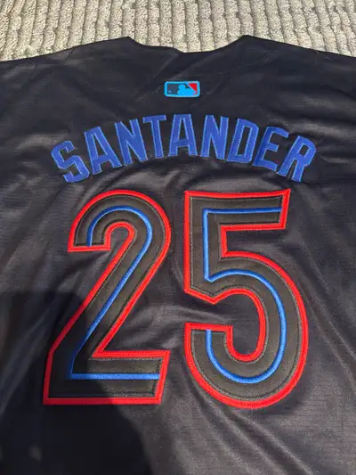 Anthony Santander Toronto Blue Jays Jersey New, View more