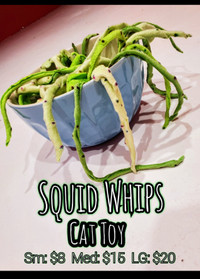 Squid Whips! Creepy Cat Toy Interactive fun