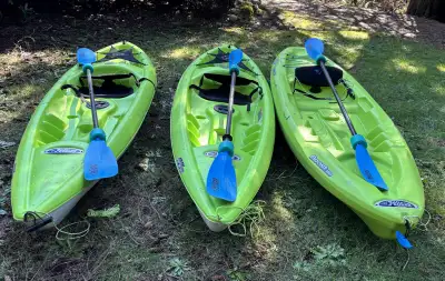 Selling three Pelican sit-on-top kayaks with paddles — great for lakes, rivers, and calm ocean paddl...