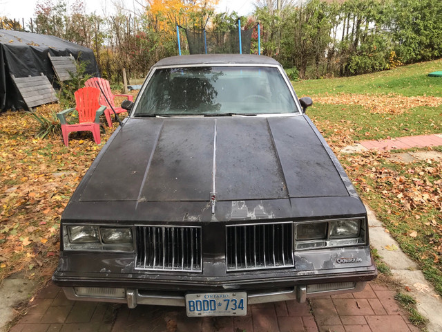 1984 Oldsmobile Cutlass Supreme in Classic Cars in Kawartha Lakes - Image 3