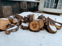 Assorted Wood Logs & Stumps