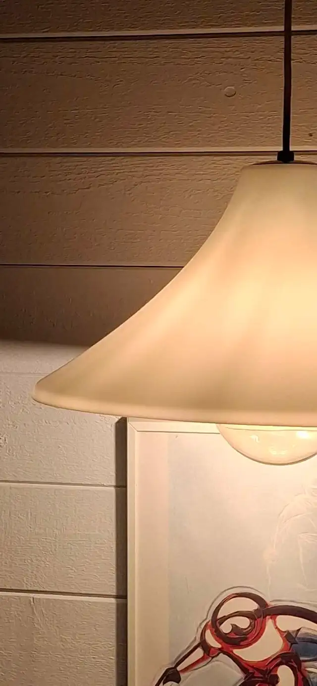 Mid-century scandinavian style pendant light (fixture, pe in Indoor Lighting & Fans in Ottawa - Image 10