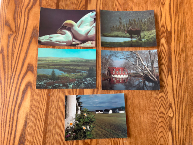 9 cartes postales neuves BEAUTÉ DE LA NATURE AU CANADA. dans Art et objets de collection  à Saint-Jean-sur-Richelieu