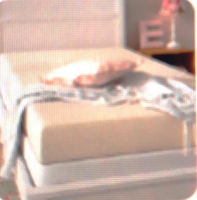 Foldout cot on wheels + mattress. in Beds & Mattresses in Edmonton - Image 2