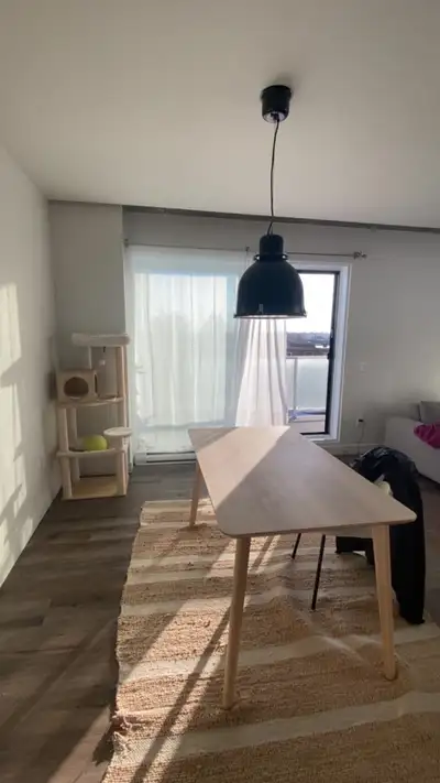 Rare sur le marché : un condo lumineux, spacieux et tout inclus à Lévis — avec vos gros chiens bienv...